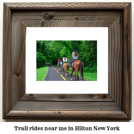 trail rides near me in Hilton, New York